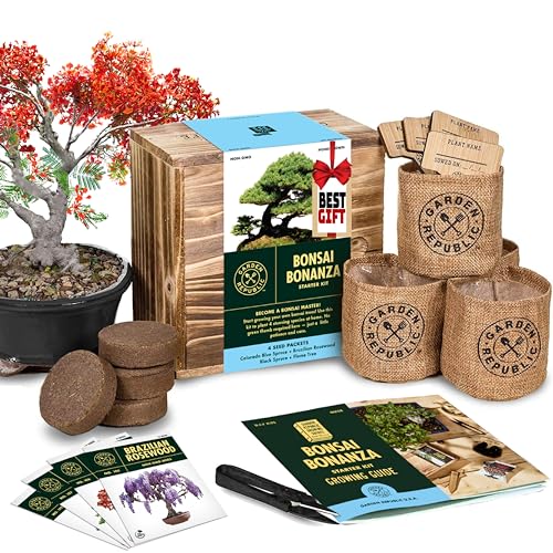 Bonsai Tree Seed Starter Kit - Mini Bonsai Plant Growing Kit, 4 Types Of Seeds, Potting Soil, Jute Bags, Pruning Shears Scissor Tool, Plant Markers, Wood Gift Box, Day Gardening Gifts For Women