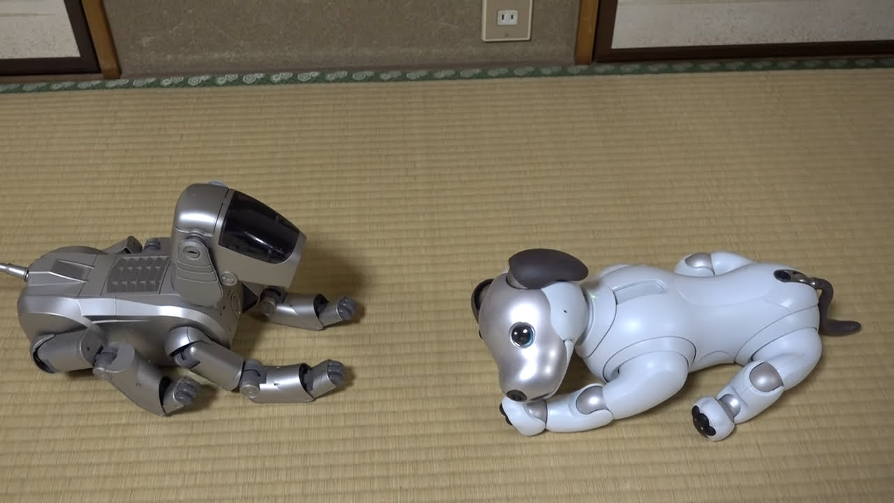 Aibo