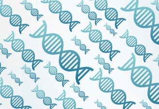 An illustration of DNA