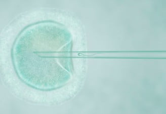 Visual representation of In Vitro Fertilization (IVF) Embryo screening