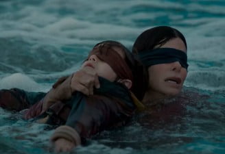 Scene from Bird Box on Netflix