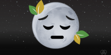 Sad News: The Moon Plants Are Dead
