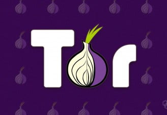 tor browser logo, tor record donations