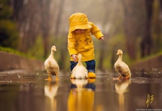 A photograph of a child playing with ducks in the rain