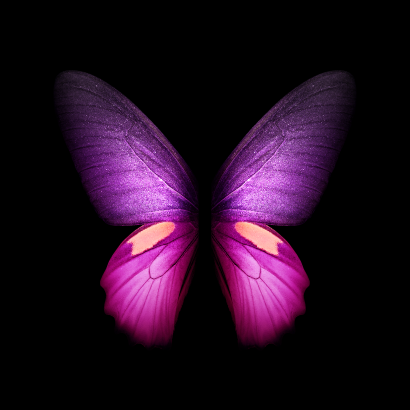 Purple Galaxy Fold Butterfly Wallpaper