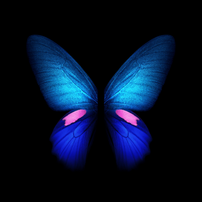 Blue Butterfly Galaxy Fold Wallpaper