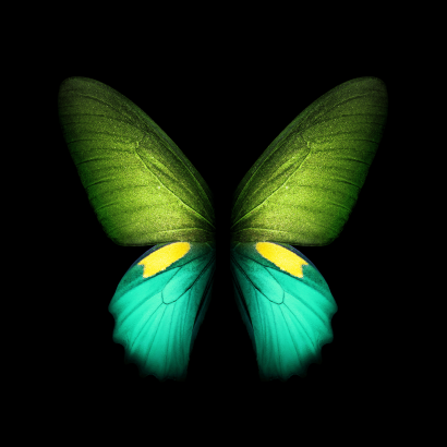 Ocean Green Galaxy Fold Butterfly Wall