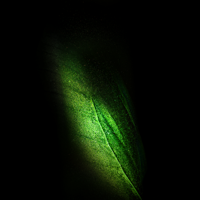 Almost Green Galaxy Fold Wallpaper