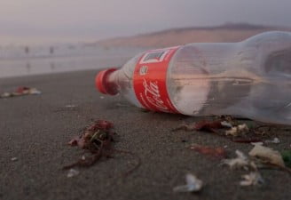 Coke plastic bottle