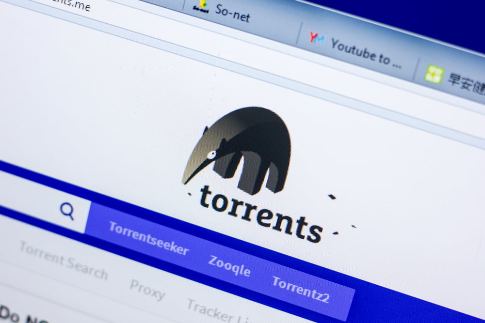 Downloading Torrents