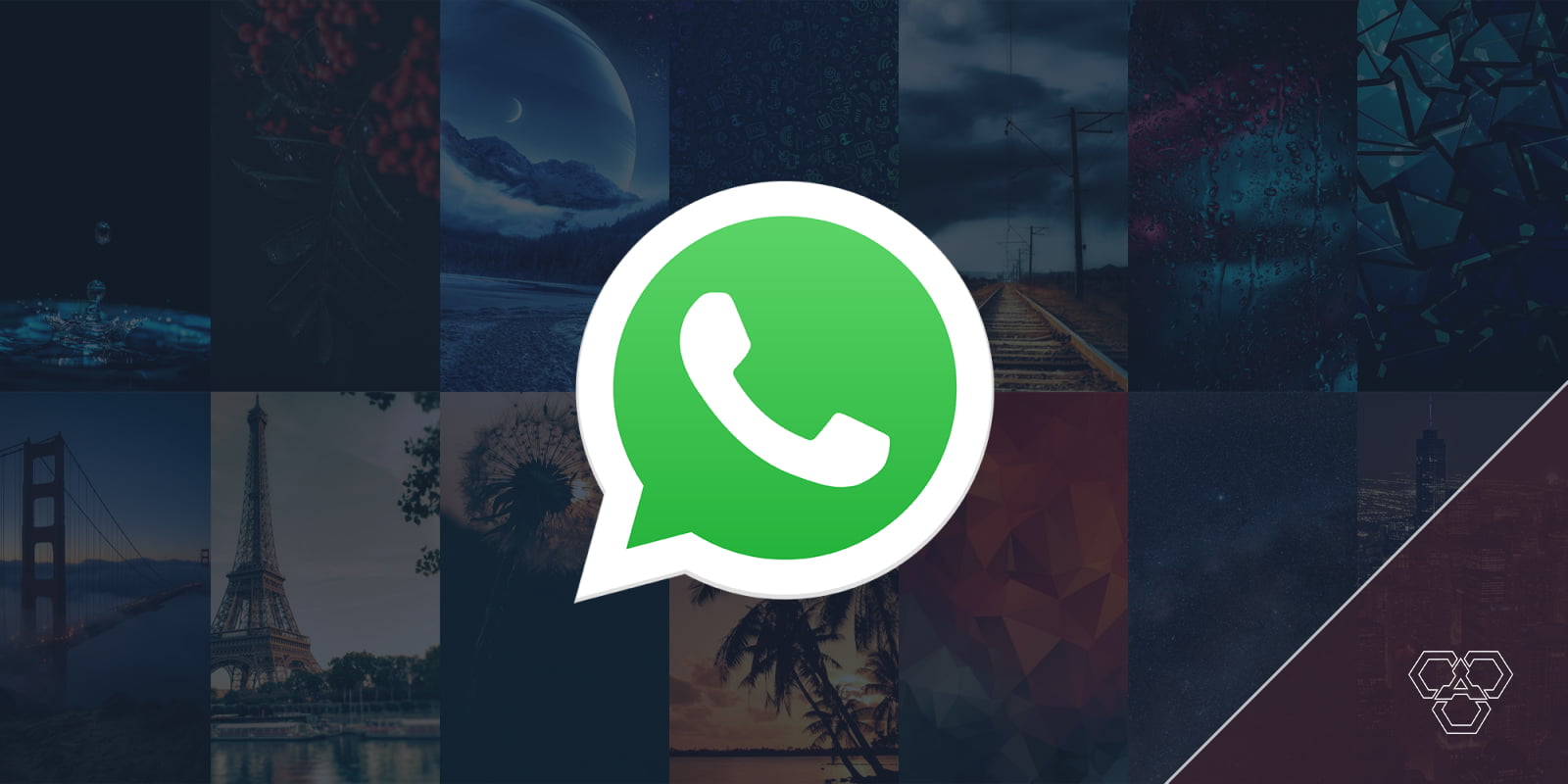 Whatsapp’s New Feature Lets You Change Wallpapers For Specific Chats