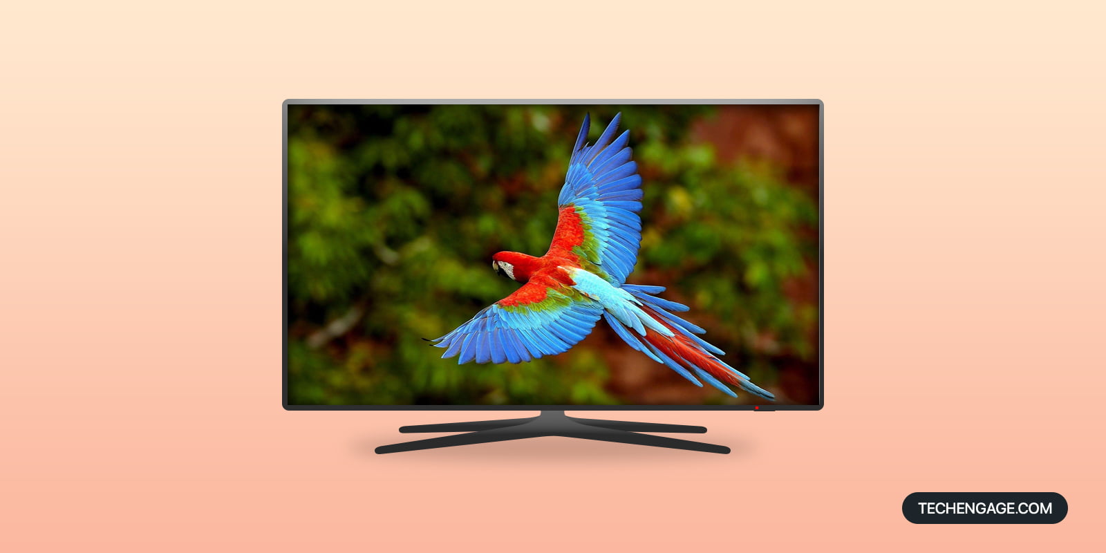 Best 4K Tvs For Outdoor Use On Amazon For 2023