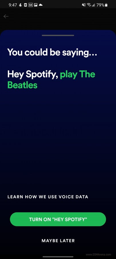 Spotify Prompt Message 1 |
