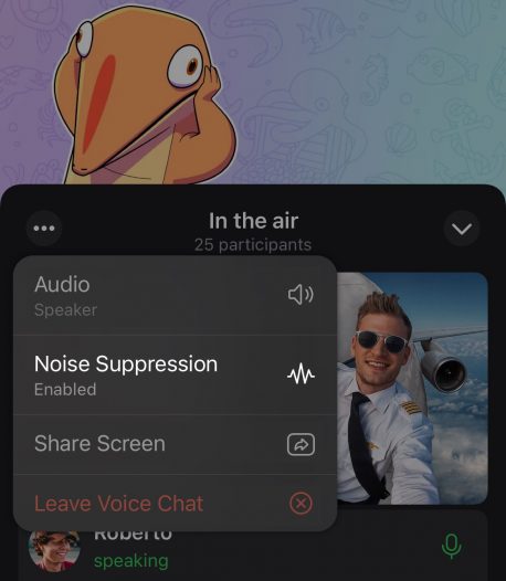 A Screenshot Of Noise Suppression In Telegram