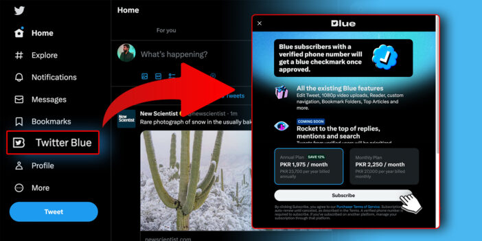 Twitter Blue On Web